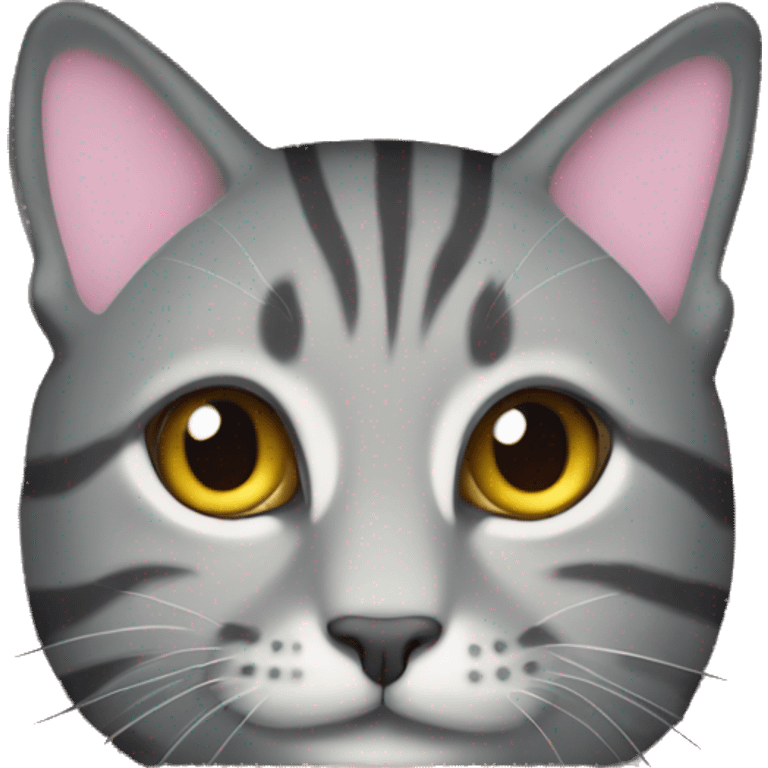 Grey tabby Cat in cardboard box emoji