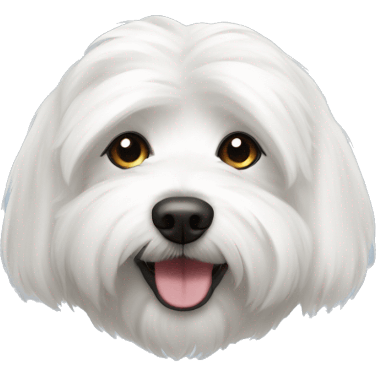 coton de tulear emoji