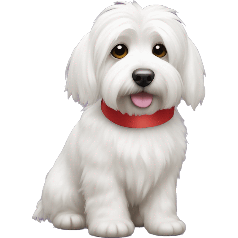 white coton de tulear with a ribbon on its head emoji