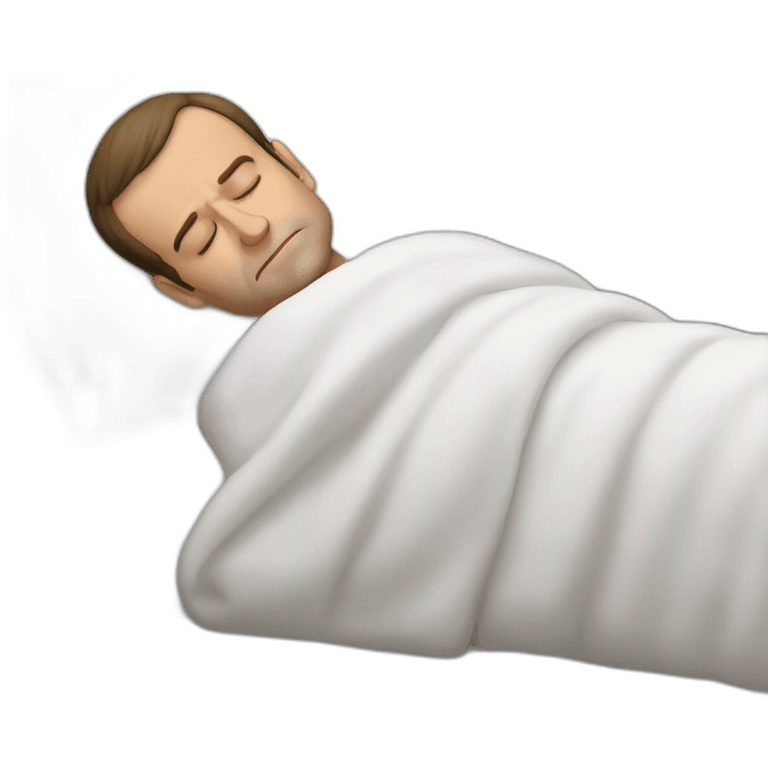 emmanuel macron sleeping emoji