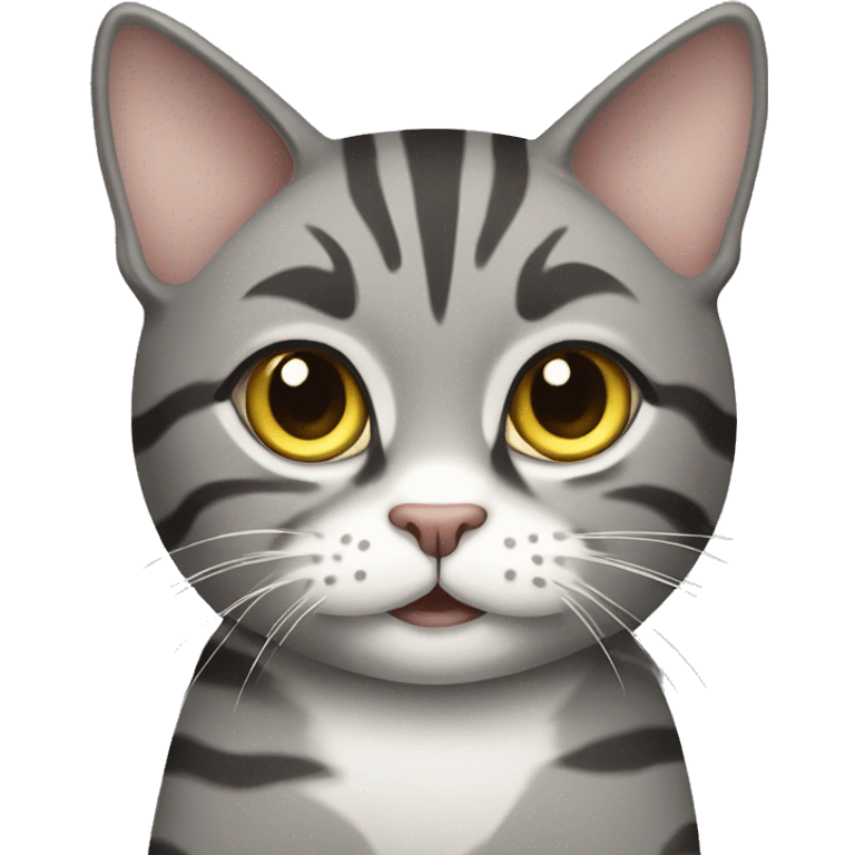 Gray tabby Maine Cook cat  emoji