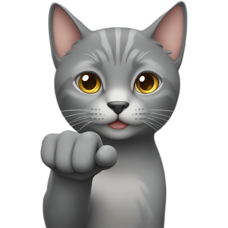 Grey cat who makes a finger of honor emoji