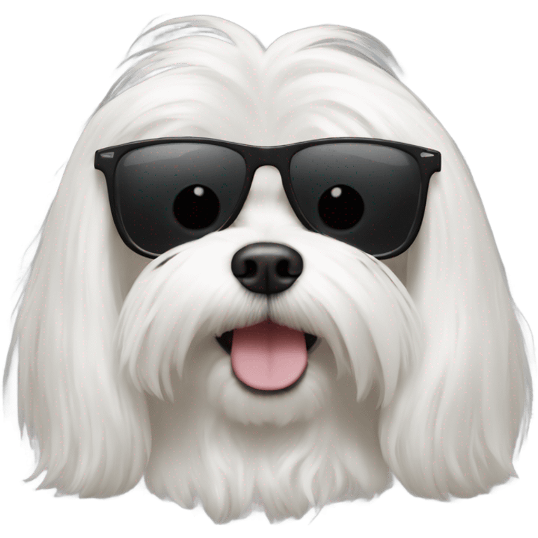 Long haired Maltese with sunglasses emoji