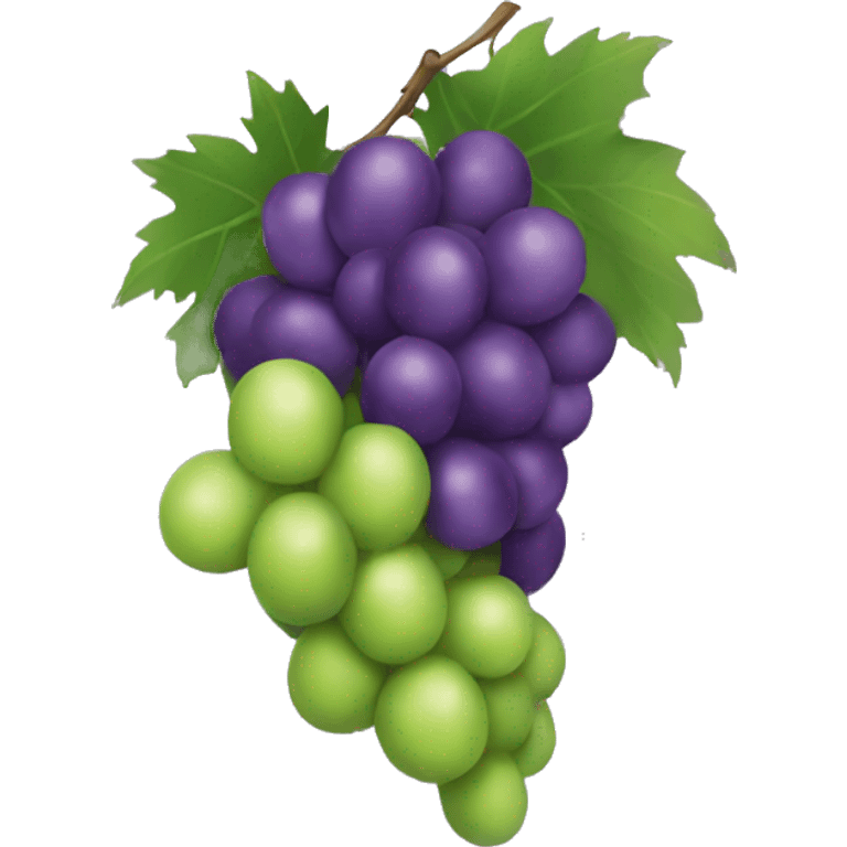 grapes emoji