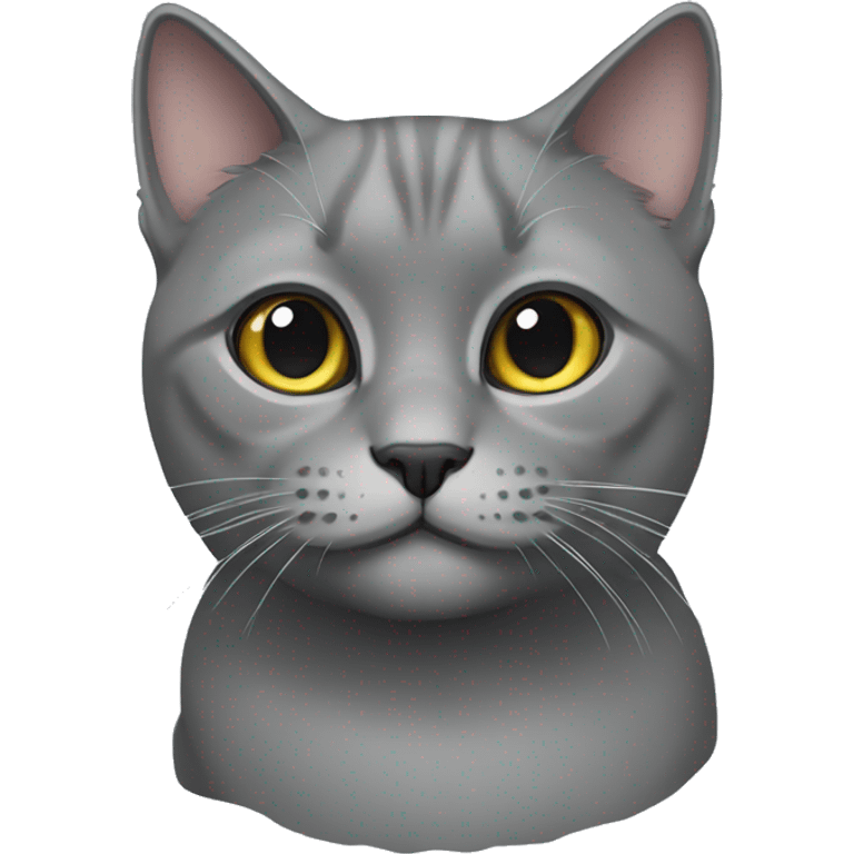 Gray British cat emoji