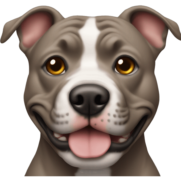 meatball with gray pitbull emoji