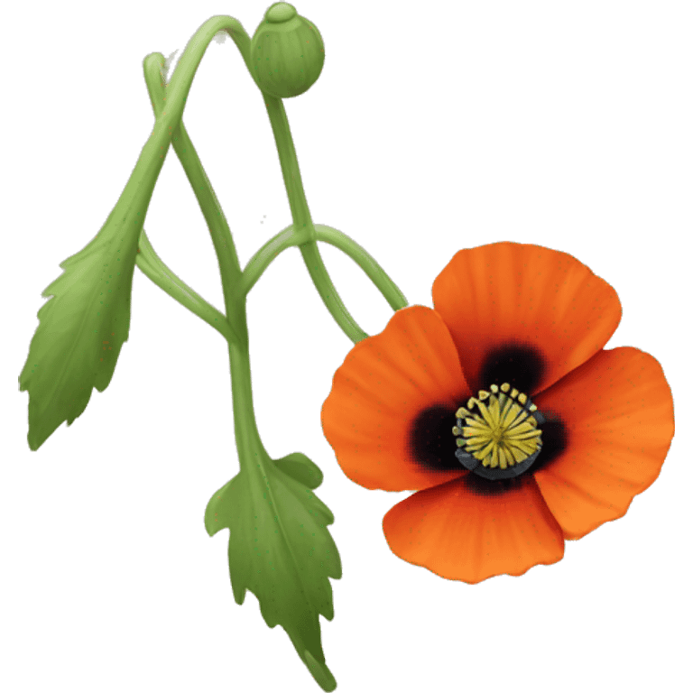 A red-orange poppy flower  emoji