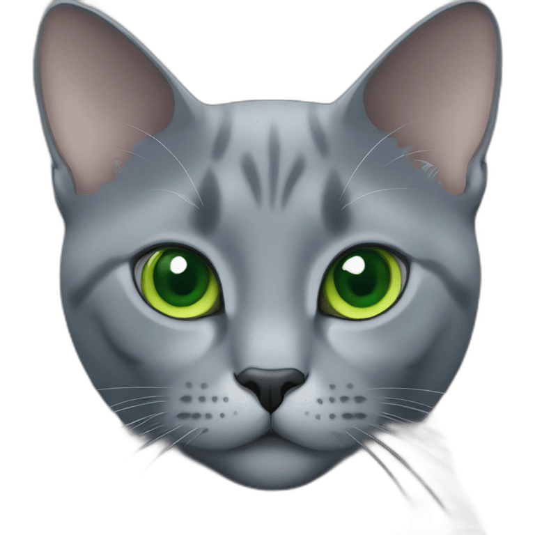 fully grey cat russian blue with round face and green eyes no stripes emoji