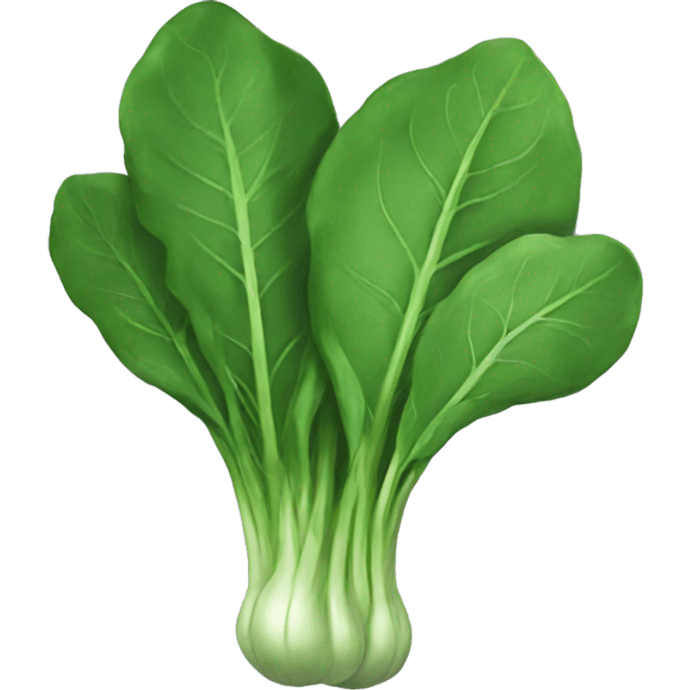 SPINACH emoji