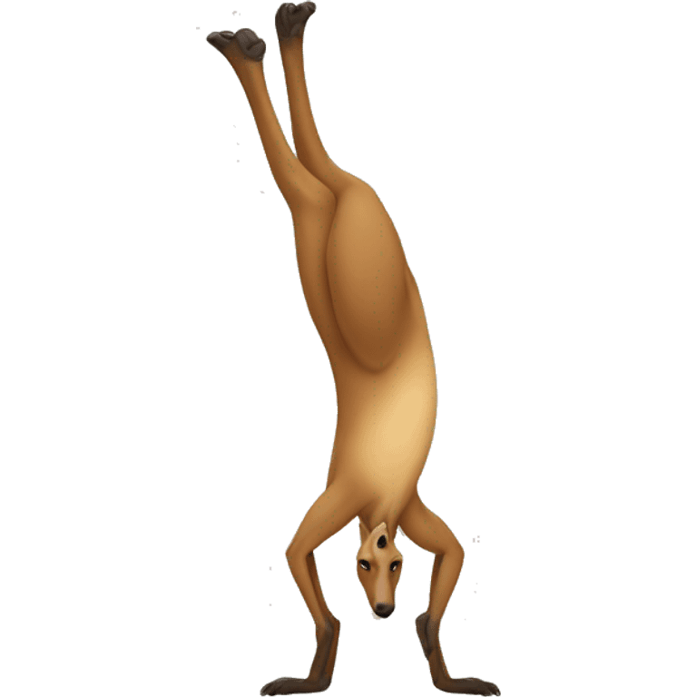 kangaroo handstand emoji