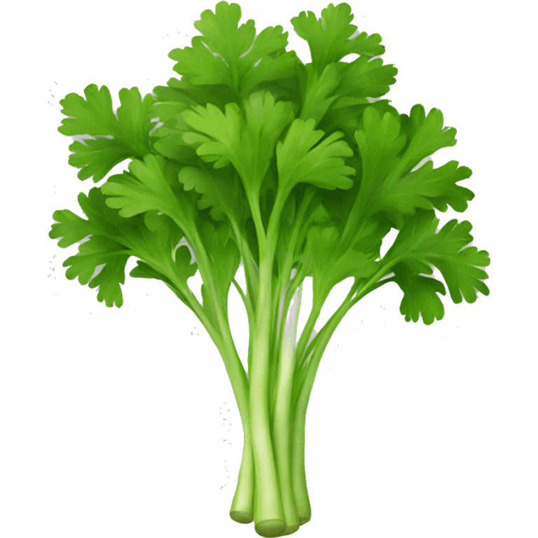 parsley emoji