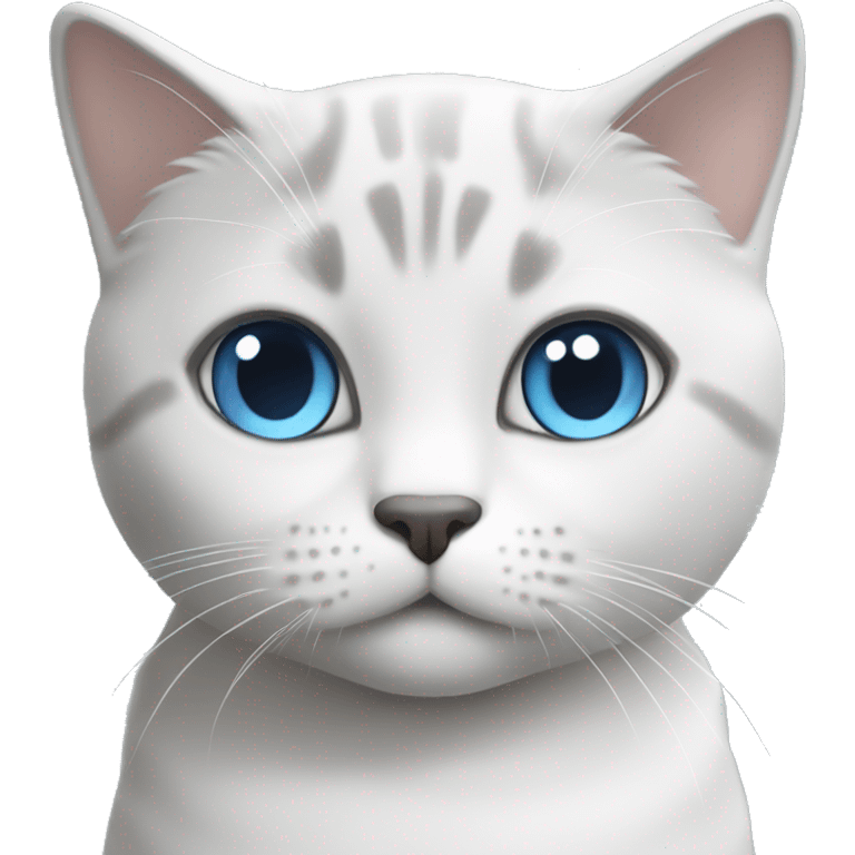 British short hair cat in white and light grey with blue eyes emoji