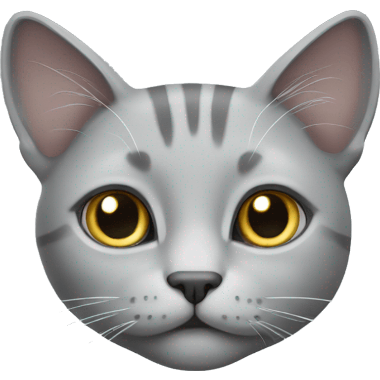 Dilute grey cat emoji