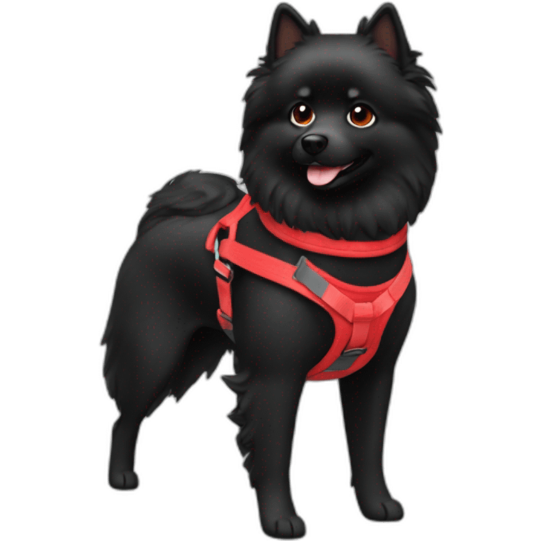 Black Spitz with red harness emoji