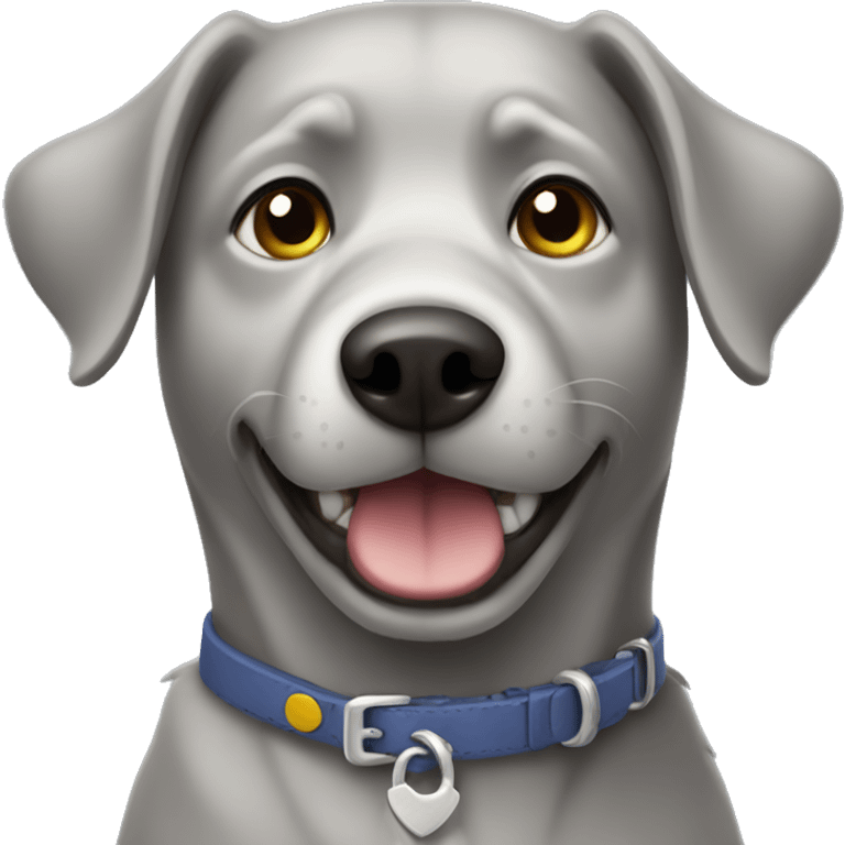 Grey dog with collar  emoji