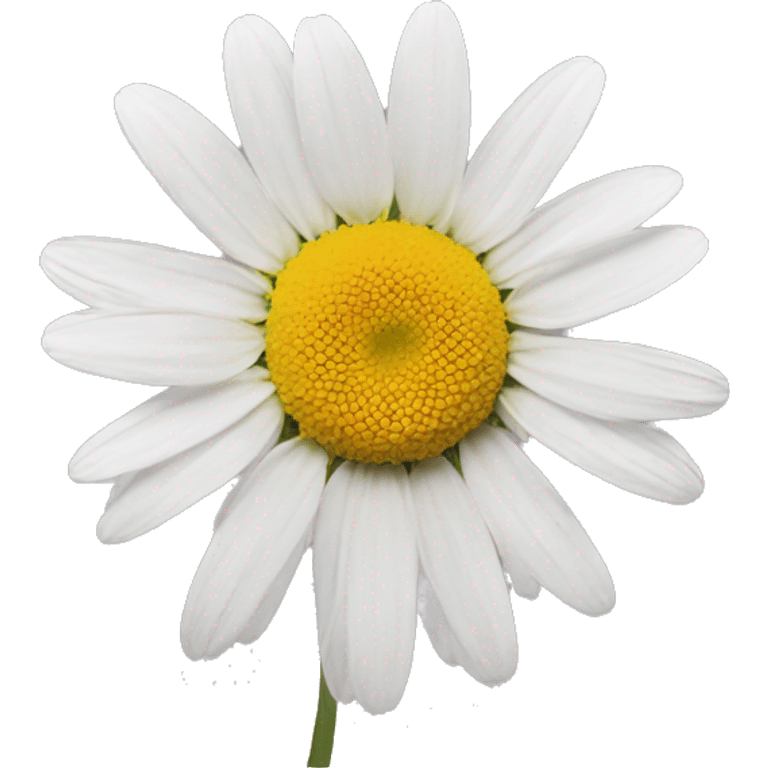 Aesthetic daisy  emoji