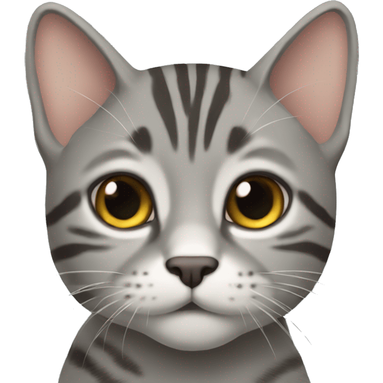 Gray Tabby Cat emoji