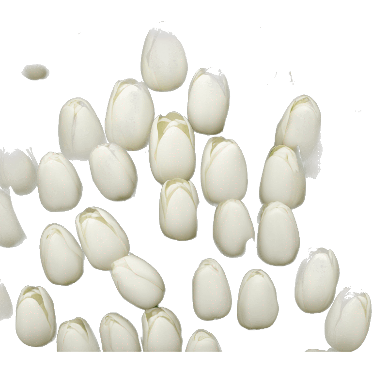 Bouquet of white tulips emoji