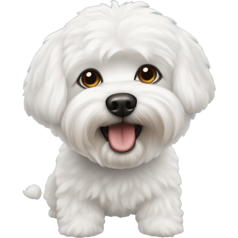 Bichon frise and yorkshire emoji