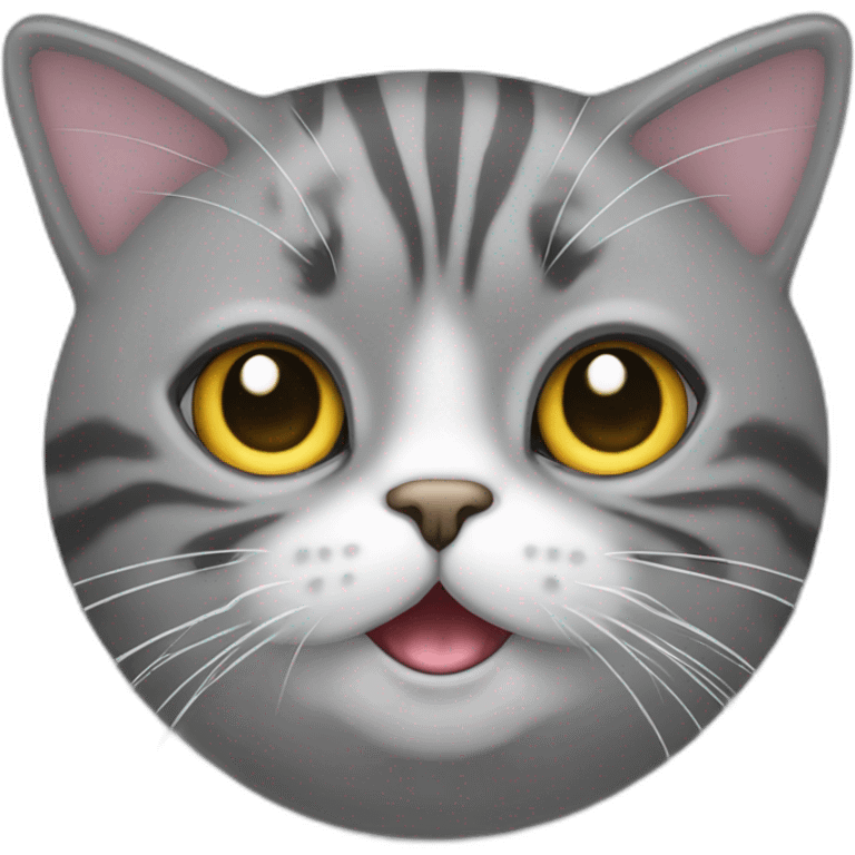 Chat gris sur un phoques emoji