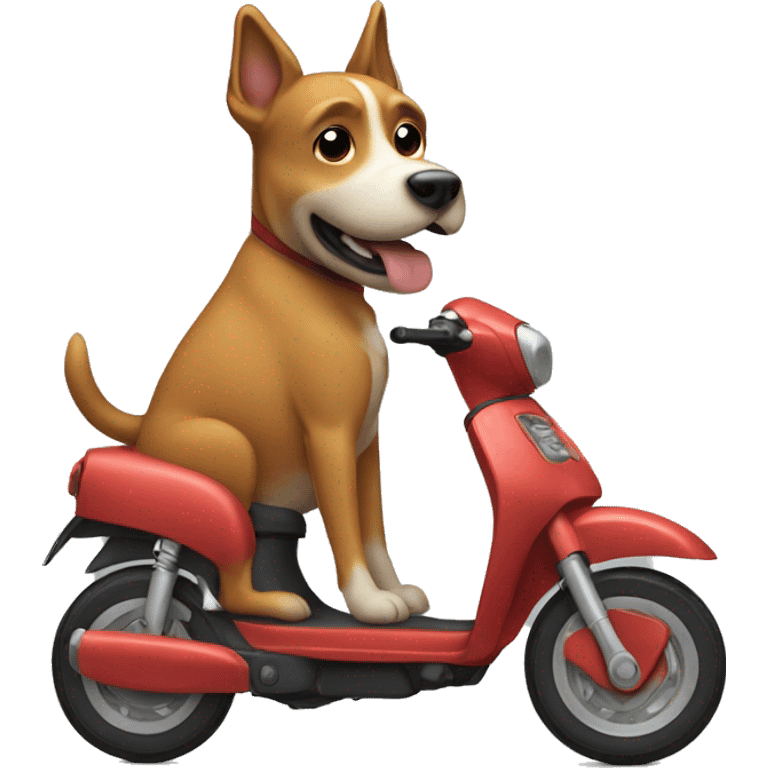 dog riding skooter emoji