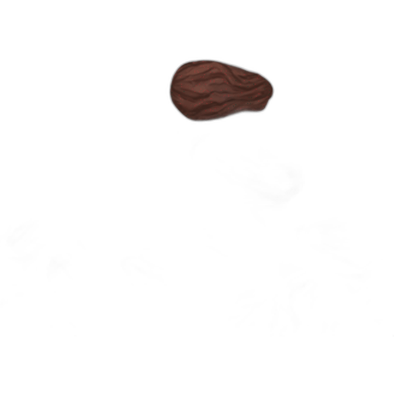 dried raisin emoji