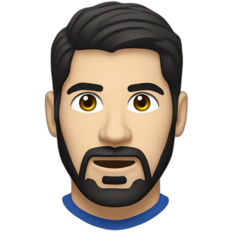 nikola karabatic emoji