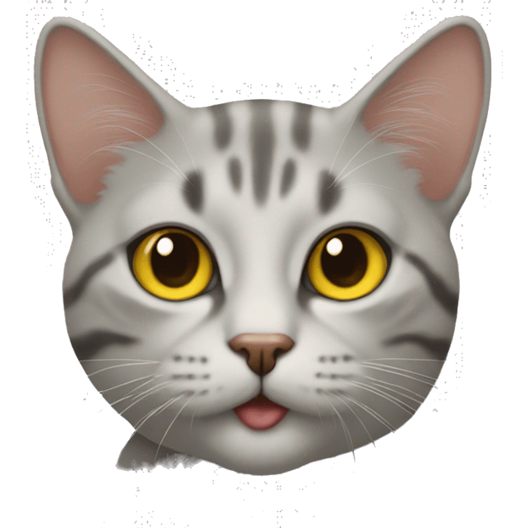 kedi kız emoji