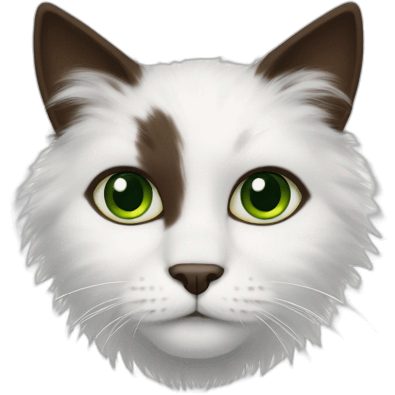 white fluffy bi-colour cat with dark brown ears and upper head, brown ears and green eyes emoji