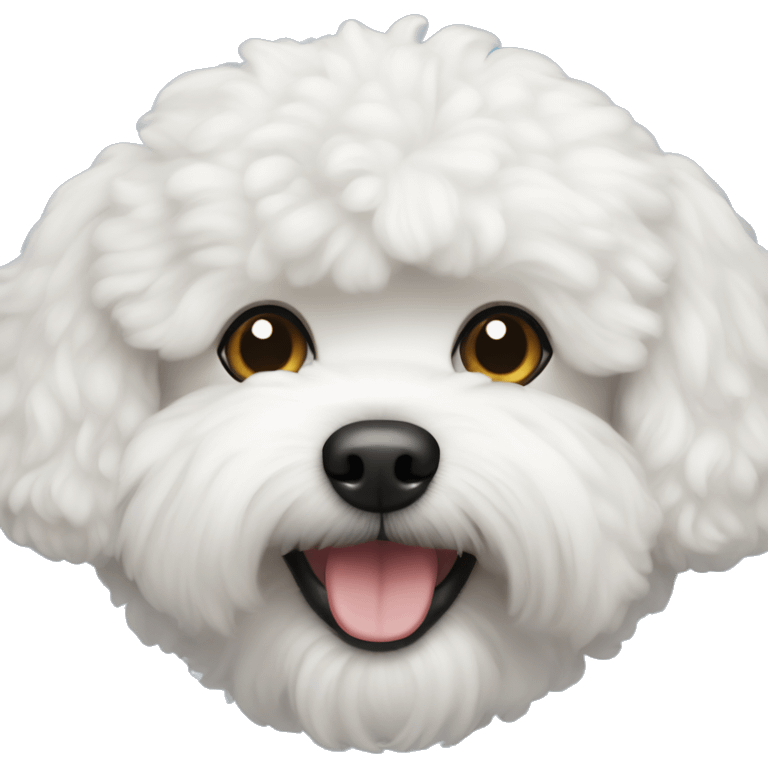 dog bichon frize  emoji