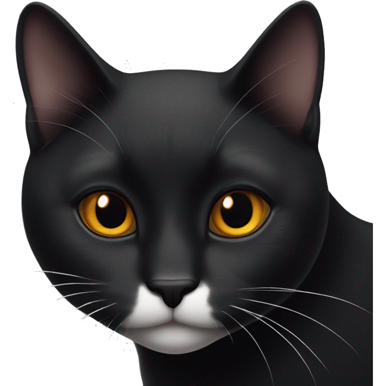 jet black cat with amber eyes with a white patch on his throat emoji