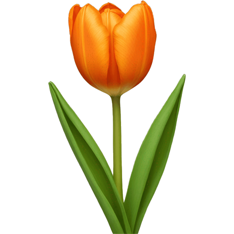 Orange tulip emoji