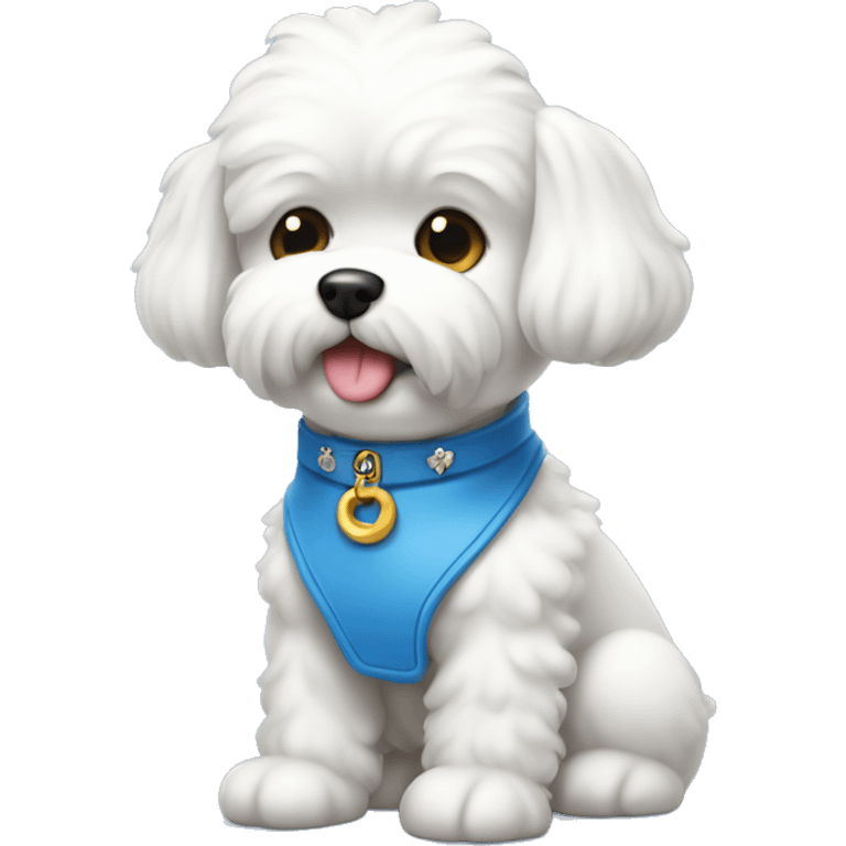 Perro bichon maltes con collar azul, con plaquita en forma de hueso emoji