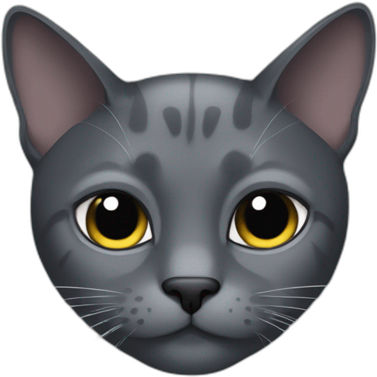 grey and black cat with one eye bigger than the other emoji