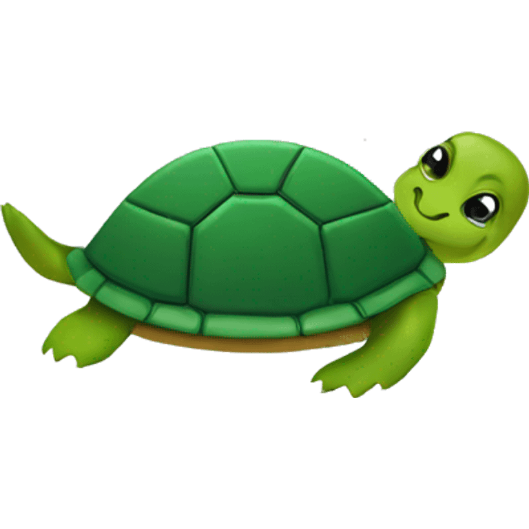 turtle on a plate emoji