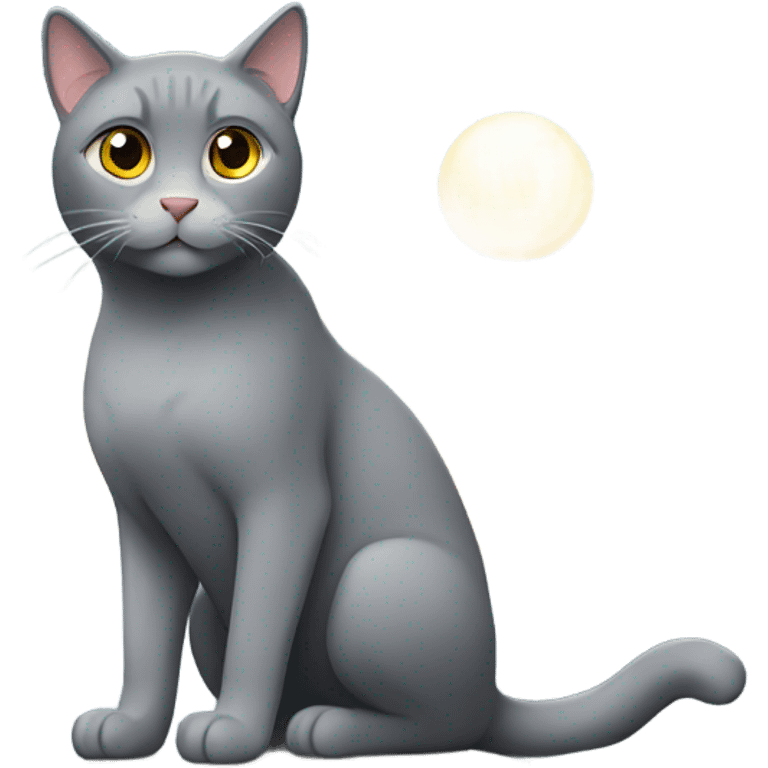 Grey cat sitting on mountain  emoji