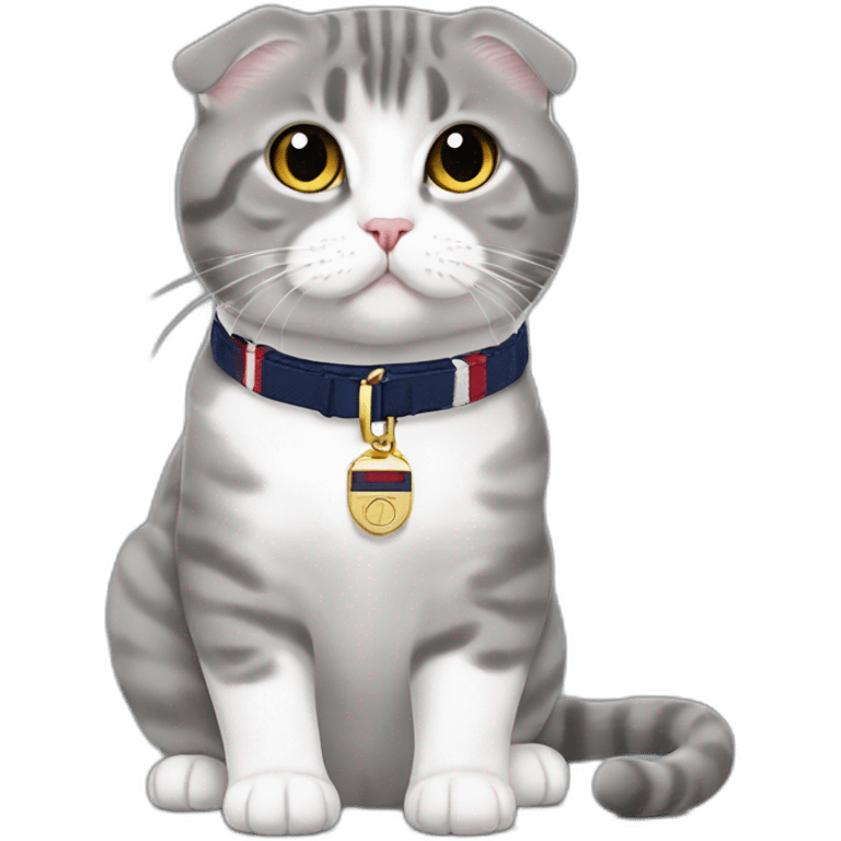 Scottish Fold gray leash Tommy Hilfiger emoji