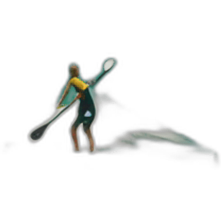 paddle board on wave emoji