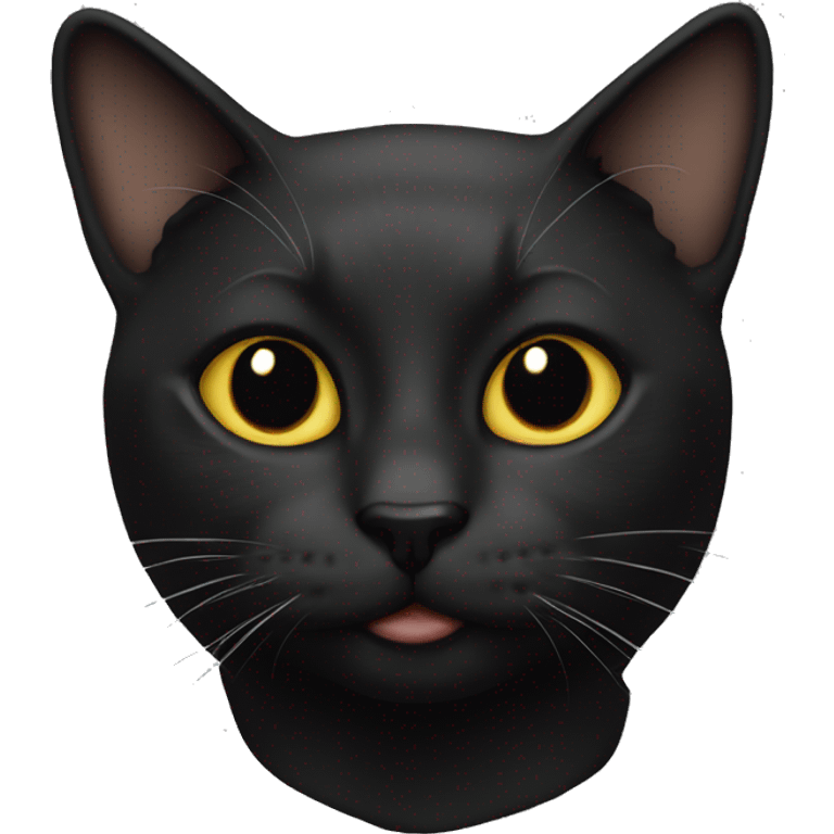 Cat, black  emoji