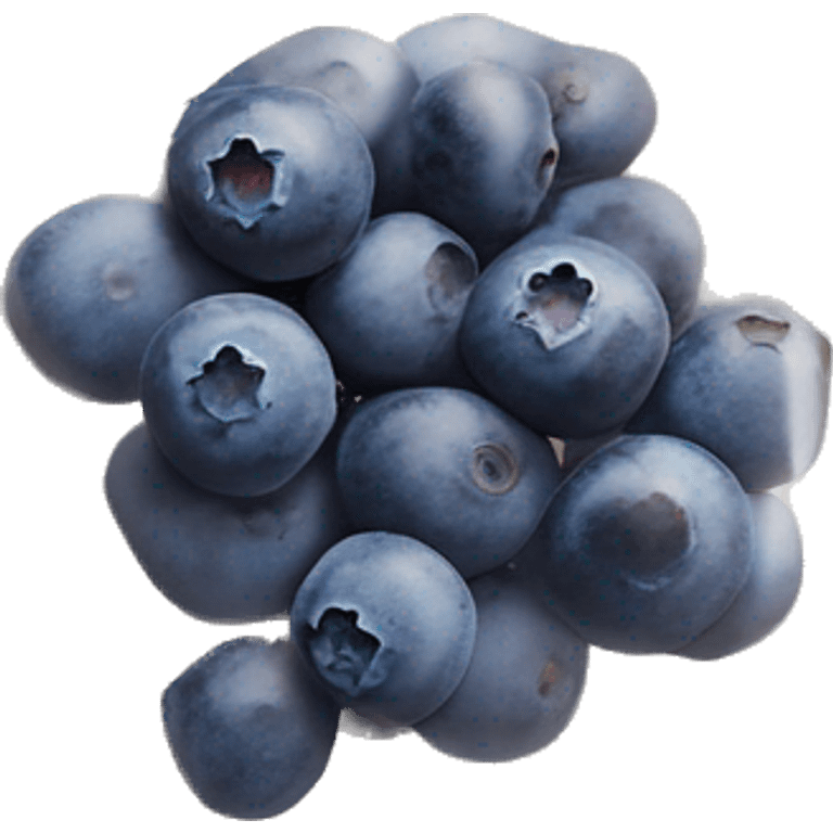 small blueberries in plastic packet organic farmer’s market realistic soft textures emoji