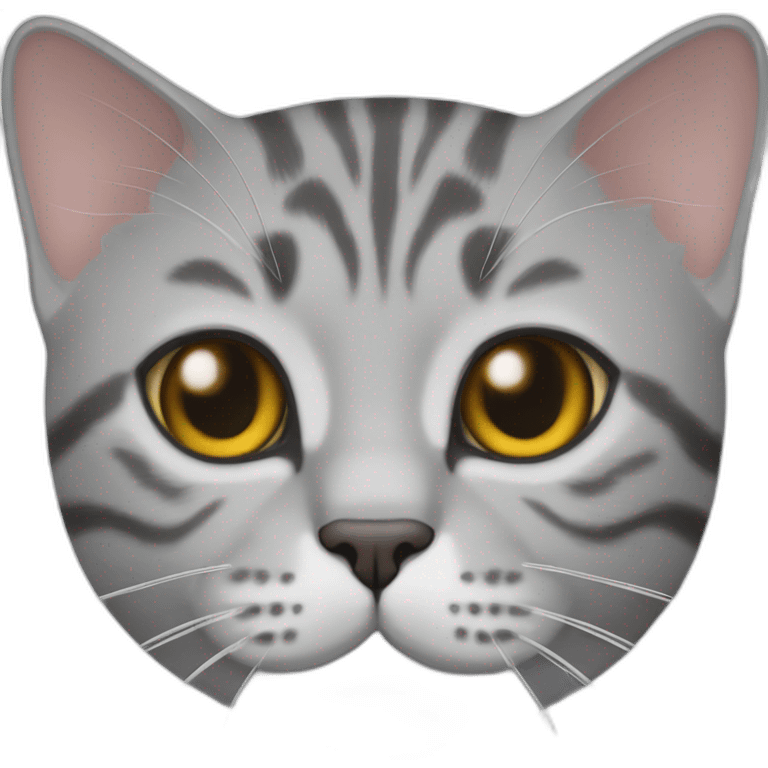 British shorthair grey tabby cat emoji