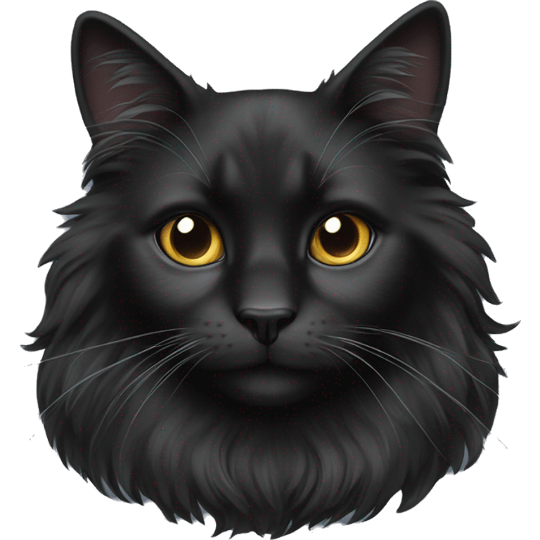 black cat domestic long-haired with white spot emoji