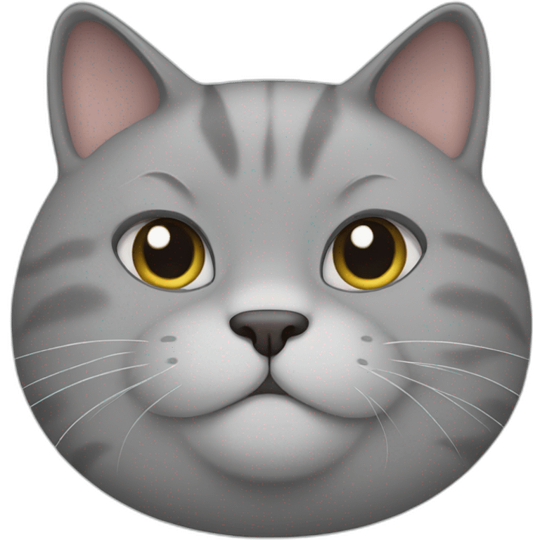 Grey fat cat emoji