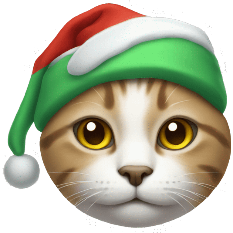 cat in a santa hat emoji