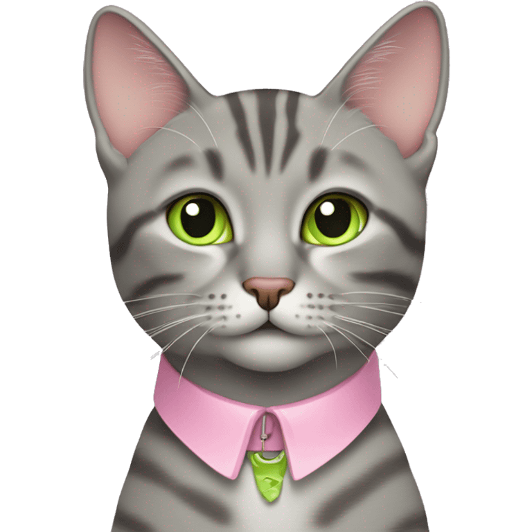 Gray tabby cat with lime green eyes wearing a baby pink collar emoji