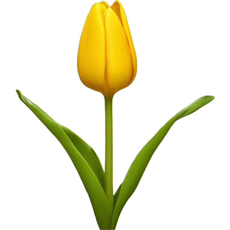 yellow tulip emoji