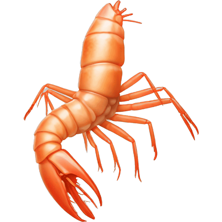 Realistic boiled shrimp  emoji