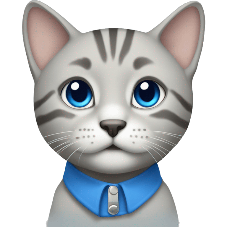 Light Grey tabby with blue collar emoji