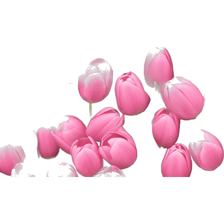 Bouquet of pink tulips emoji