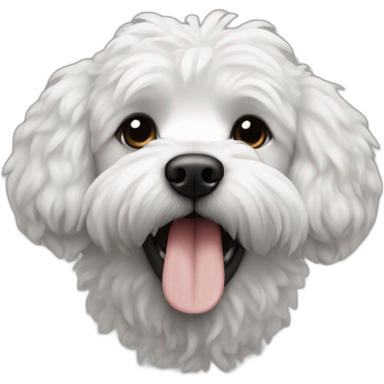 Caniche avec tâches blanc et noir qui tire la langue emoji